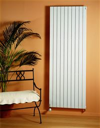 Autre photo du produit Radiateur ACOVA Fassane Prem''s Eau Chaude vertical